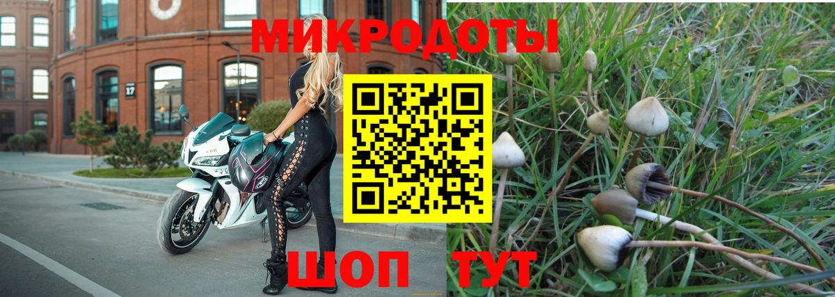 Галлюциногенные грибы ЛСД Изобильный