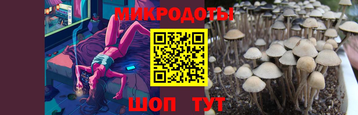 Псилоцибиновые грибы Psilocybe  Псилоцибиновые грибы мицелий  Вход с VPN  Изобильный 